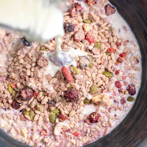 Mixed Berry - Original Dairy Breakfast 400 Kcal V10 - Radix Nutrition 2 Mixed Berry - Original Dairy Breakfast 400 Kcal V10 - Radix Nutrition